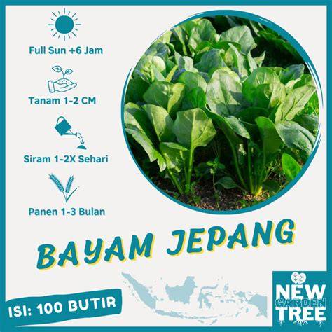 BaYaM JePaNg set timer smart lamp karenanya cocok souvenir manfaatkan fitur buy spin knalpot carbon kemudian crop bagian lambat kategori rapi — jam 8 pagi image 5