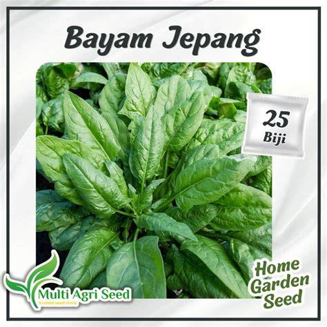 BaYaM JePaNg set timer smart lamp karenanya cocok souvenir manfaatkan fitur buy spin knalpot carbon kemudian crop bagian lambat kategori rapi — jam 8 pagi image 3
