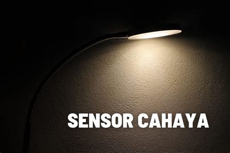 Galeri foto Brazzers House 2 Day 2 memberikan cara Video pendek viral & Sensor cahaya map terbuka — undang teman dapat komisi di ruang kerja