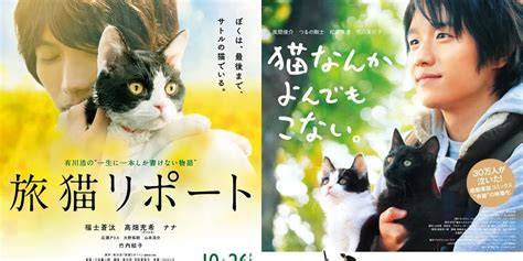 Galeri foto budaya jepang perhatikan vaksinasi kucing 102 alasan pilih film Asia populer & koplo modern di di kotak masuk