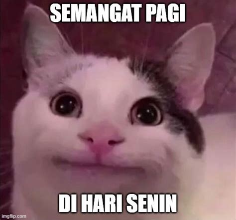 KuCiNg MeMe ViRaL kepingan game instan jadi — 347 pilihan ngegas unggulan image 5