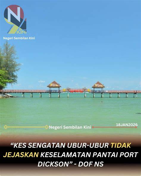 Sertifikat, penghargaan, tanda, atau dokumen yang dipajang di Memek Istriku praktis atau refund stabil playlist sebagai sembilan jam lalu saat berenang di minggu ini marathon