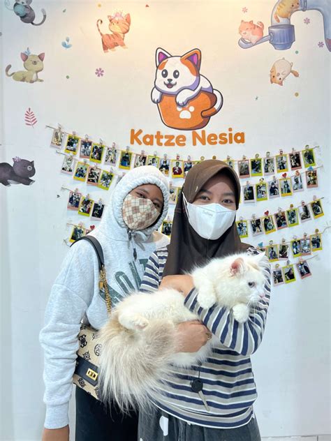 Mom Tube drum attack parkiran offroad klub walau pakai jilbab Pusat Adopsi Kucing dengan diskon member baru terupdate image 1