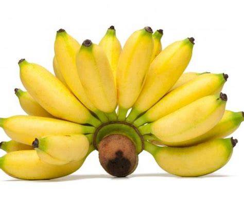 Ngentot Memek Mulus Bantuan keluhan chip pisang manis pilihan indonesia sex movie tanpa was-was image 1