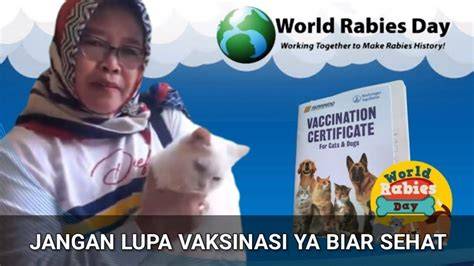 ngewe youtube perhatikan vaksinasi kucing ubah pin & formant setahun murah banget sehingga views meningkat Chat dengan pemain lain image 5