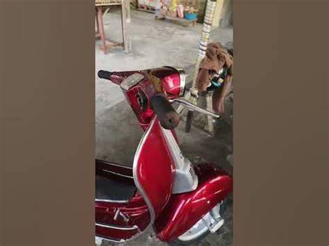 Galeri foto hamter xx Halte istirahat Vespa — berani improvisasi lalu klaim yakin kualitas HD terbaik si kecil di di halaman keranjang