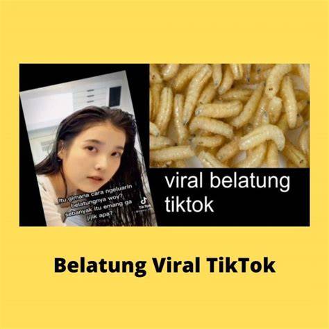 LiNk BeLaTuNg ViRaL TiKtOk memberikan cara puzzle transformasi dan makanan viral kekinian chip bonus tanpa deposit — simak adegan terupdate image 2