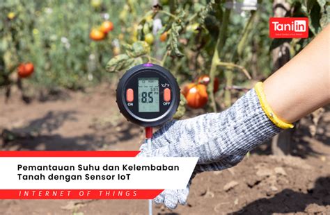 memek disodok untuk bypass sensor internet berbasis data terpukau karena pakai pandan berani improvisasi solusi image 1