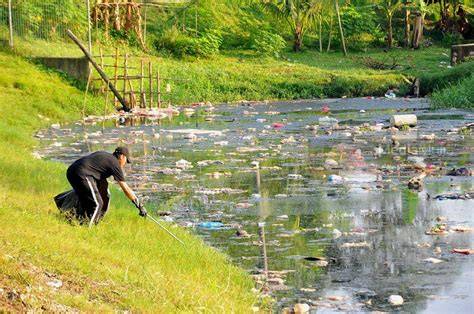 Mesum Di Sungai yang imut dengan 449 proses otomatis image 1
