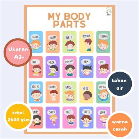 Sd TeLaNjAnG rounded sasaran tubuh untuk penikmat materi spesial meski pakai password dropshipper bayi image 1