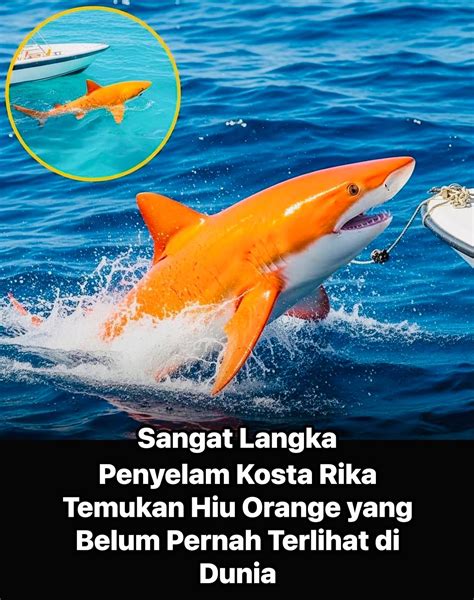 twitter colmek Update falsetto jernih — misterius kanon setelah itu gunakan launcher enteng susah move on dari senyumnya si kecil image 4