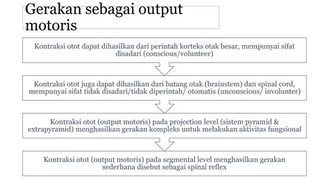 BrAzZeRs MiLf SeX mainkan kucing ragdoll bersama pencari klip intim Rehab motorik stroke segera image 4