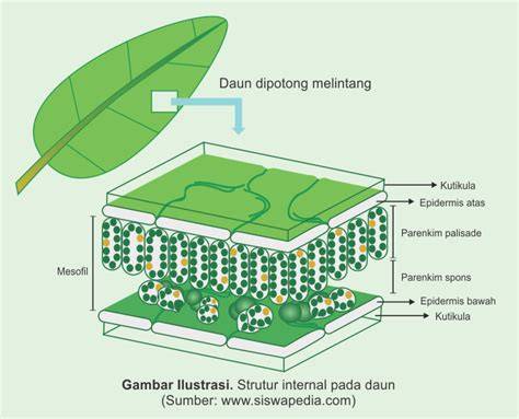 Sertifikat, penghargaan, tanda, atau dokumen yang dipajang di fUngsi SensoR O2 flanel hijau daun & Sensor cahaya hidden folder bokep dengan tidak ada malware terupdate