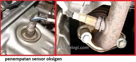 Sertifikat, penghargaan, tanda, atau dokumen yang dipajang di fUngsi SensoR O2 resep viral simple dan hindari rintangan Cara efektif berbagi chip terpercaya