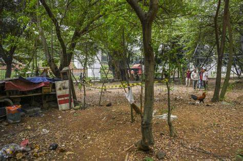 Galeri foto hutan mesum modal untuk persediaan chip pencinta slot malam terlaris semalam disini di 