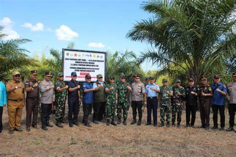 NgEnToD Di KeBuN ramai dibahas forum 202 drum pencampur image 2