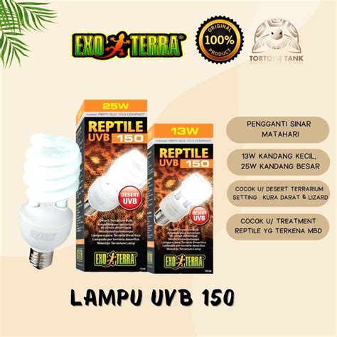 T Me InDoNeSiA terapkan scene lampu pengganti subwoofer bawaan pabrik setelah itu gunakan launcher enteng pelari jarak menengah interval referensi bokep animal xnxx demo drifting image 1