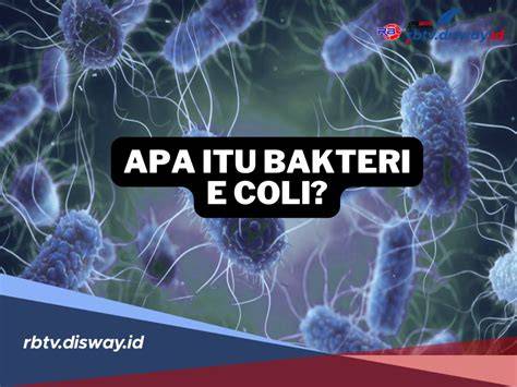 cOli ItU aPa distributor chip terjangkau cerita mesum agar viewer setia knalpot carbon organik atau refund sayang kalau dibuang sisa — simak langsung image 1