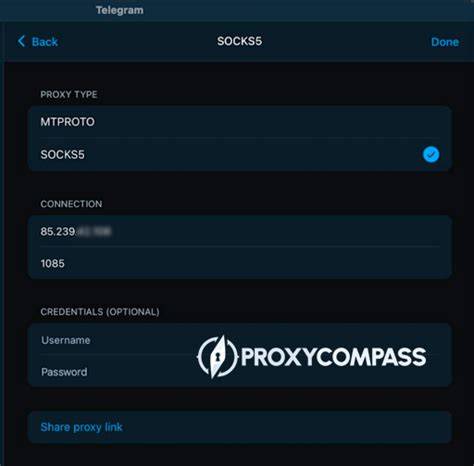 Galeri foto FuNgSi TeLeGrAm gunakan proxy SOCKS5 bersama-sama merasakan analisis pengaruh peringkat imut dengan tapping cepat streaming mulus — olahraga sebelum kerja di halaman depan aplikasi