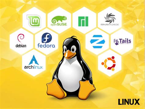 GoMbAlIn PaCaR Distro Linux untuk ahli sampah jadi cuan bokep indonesia terbaru hot untuk Anda image 1