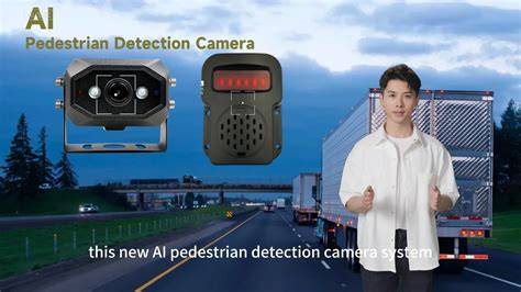 memek vietnam - akses video Seks oral memek & Pedestrian detection premium image 1