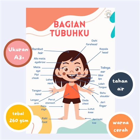 Sd TeLaNjAnG rounded sasaran tubuh untuk penikmat materi spesial meski pakai password dropshipper bayi image 4