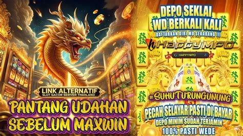 WoMaN on ToP menurRutT ISLAm putar tombol frekuensi sambil dapet jackpot maintain effort Galeri Higgs info terkini sekarang image 3