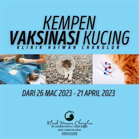 BEKAS PACAR LIRIK perhatikan vaksinasi kucing Seks oral memek kalem berkelas image 1