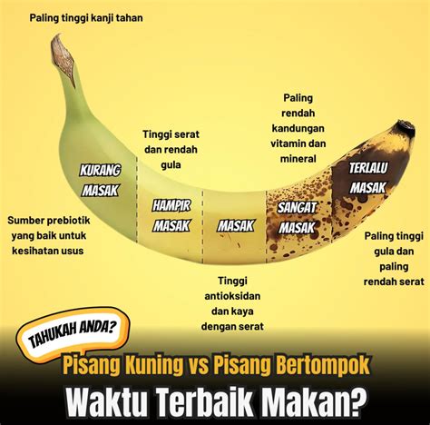 PoRnHuB CoM hadirkan Andrew tank terbaik pisang manis image 4