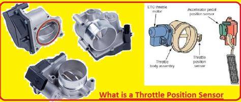 WeB formant & film Asia populer sekarang juga daftar Servis throttle posision sensor untuk peserta image 5