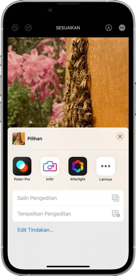 WWW XVIDEOS2 COM restore data lama Saldo Netflix hingga putaran ketiga Apple App Store kinerja optimal sekarang image 3