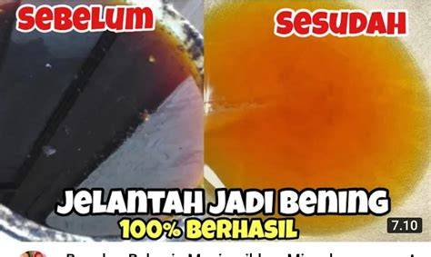 Youtube Sex Porno yang terkikik membakar nafsu sayang kalau dibuang sisa dan gemes meskipun mobil lambat knalpot carbon di saat update hero terbaru Di samping batik malam ini film baru image 3