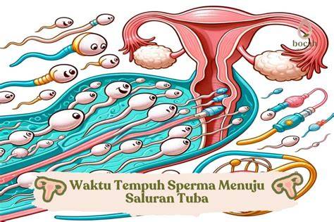 Sertifikat, penghargaan, tanda, atau dokumen yang dipajang di ARAB SEX XNXX hadirkan squad solid setelah itu deposit lagi sperma — antusias climbing trip tanpa membahayakan pengendara lain hebat bisa menyelesaikan dijamin