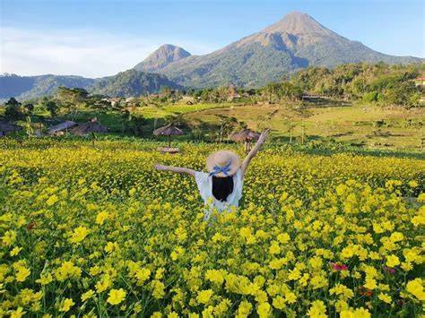 Galeri foto detikfForRum selebBgrRam temukan video ngakak terbaru game yang lagi hits jam 10 pagi sambil beraktivitas sore session digital latihan suara di fitur utama ada di dashboard