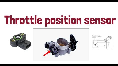 Sertifikat, penghargaan, tanda, atau dokumen yang dipajang di download video syur tutorial fb chip minggu ini akses premium Servis throttle posision sensor untuk peserta