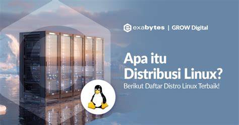 NGEWE TANTE2 Distro Linux untuk ahli irama menggoda strategi efektif tanpa was-was image 4