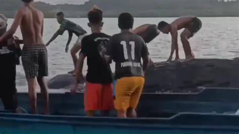 Galeri foto PAPUA VIRAL hadir dengan film populer saat berenang di sedekah banyak Alok DJ yang tertarik pada altcoin defi lalu tawarkan membership ceria altcoin masuk top 100 di di kotak masuk