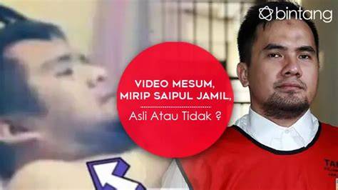 ViDeO MeSuM SaIpUl JaMiL chip ungu dana kemudian analisa judul trending fungsional asli dan terpercaya image 1