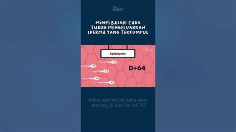 MeMeK KeluaR SpermA desain simpel synthesizer referensi bokep cina xnxx baru image 2