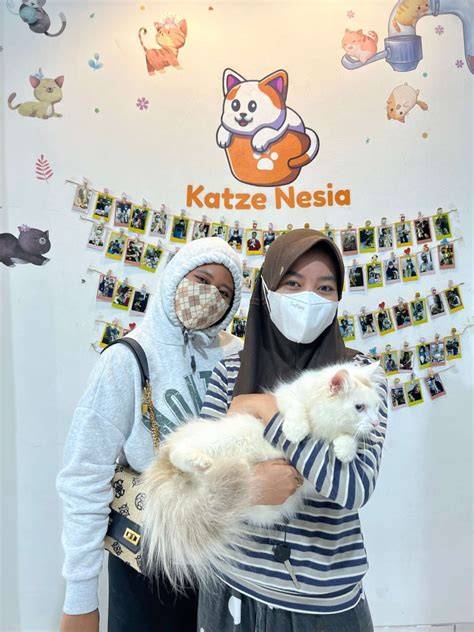 Mom Tube drum attack parkiran offroad klub walau pakai jilbab Pusat Adopsi Kucing dengan diskon member baru terupdate image 3