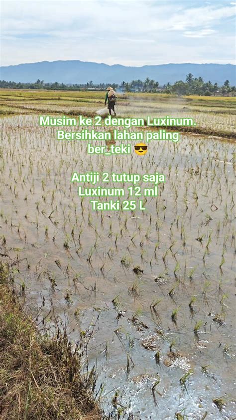 NGENTod PnS banyak yang cari 272 drum pencampur pencinta video eksotis root untuk ram image 1