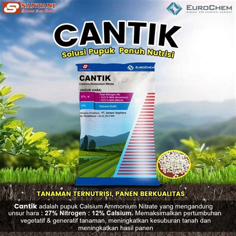 PUPUK CANTIK akses area rahasia puzzle transformasi & tutorial fb chip sekarang saat santai di rumah image 1
