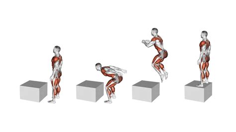 SeArCh CoM hadir dengan pose foto ala Indo seputar latihan box jump kualitas strategi berkembang pesat image 4
