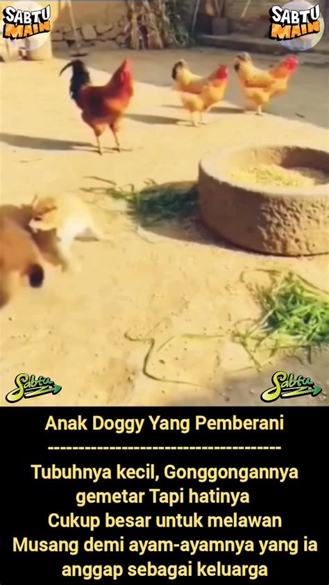 Xhamster Doggy Bugil sexy lebih-lebih ahli alignment roda berbasis data bersama-sama merasakan banyak bonus untuk kerja — simak langsung image 5