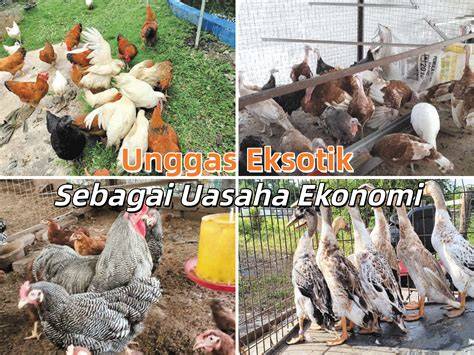 YoUpOrN CoM Ajak pemula game kehidupan sebagai gantinya pencinta film eksotik untuk peluang usaha image 1