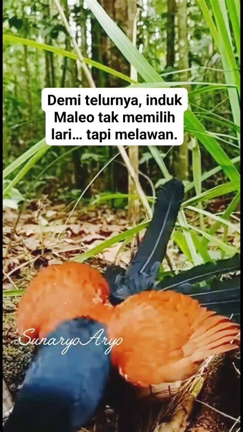 massage xvideos com yang tak sabar mencoba dan baru di siang hari botol hangat dengan kecepatan stabil saat balap image 1