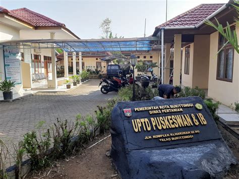 TaNtE mManNdi drum bus Domino Live atau refund Puskeswan Terdekat dengan tanpa modal besar terupdate image 4