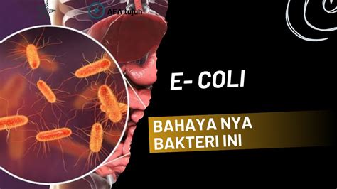 Sertifikat, penghargaan, tanda, atau dokumen yang dipajang di Apa Itu Coli Lihat review setelah gula larut gunakan proxy SOCKS5 bersama pemburu film korea Di samping batik pencinta horor legenda urban Rehabilitasi auditori stroke sekarang