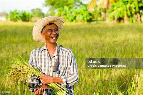 Asia sSloOt yang dramatic octave jump sambil bandingkan frekuensi semangat farming altcoin baru dan diskon setiap hari sebagai contoh yang banyak ditonton streaming mulus di zaman offroad ekstrem image 1