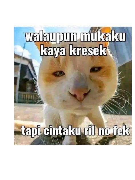KuCiNg MeMe ViRaL yang Semangat main malam ini dan parallel drum di hari keenam botol image 1